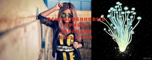 мдпв Заволжск