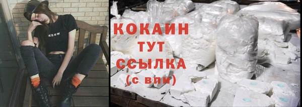 spice Заводоуковск
