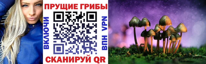 Купить закладки  Полярный  Псилоцибиновые грибы MAGIC MUSHROOMS 